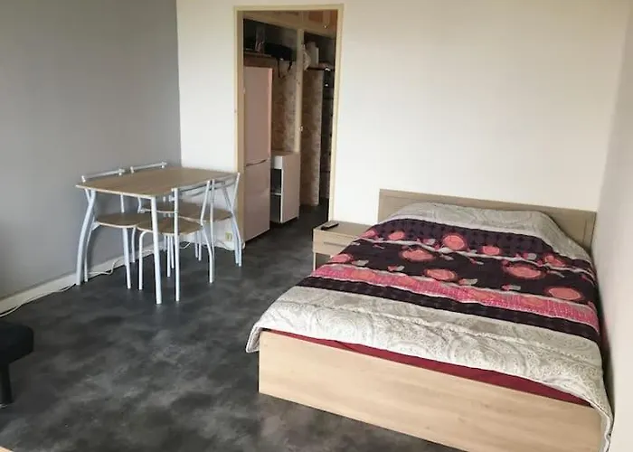 Joli Studio Proche Des Chateaux Et Du Parc De Beauval